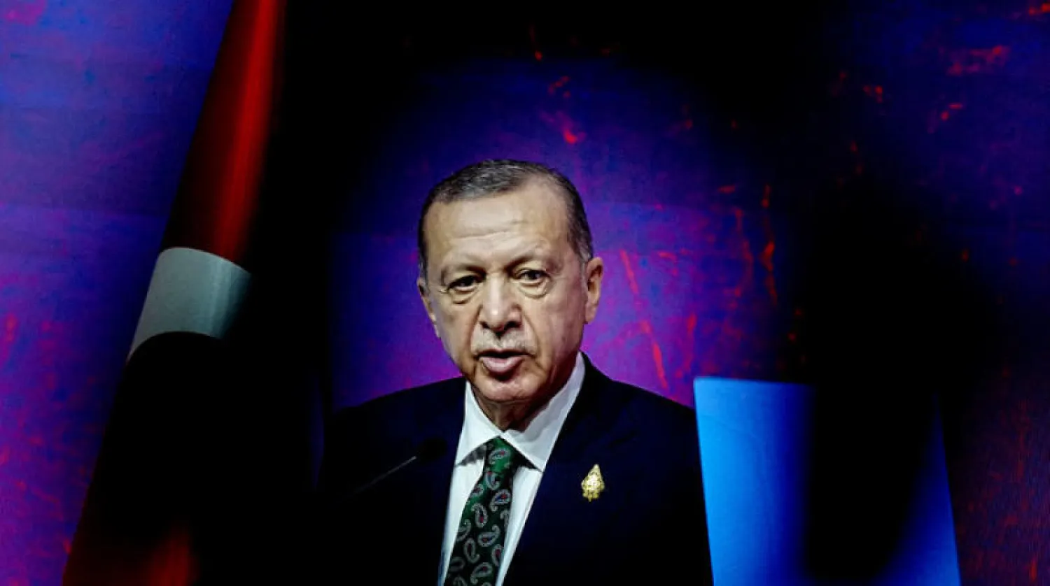 رجب طيب إردوغان (د.ب.أ)