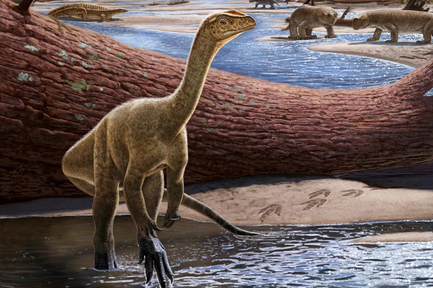 Dinozorlar, 243-233 milyon yıl önce Geç Triyas döneminde ortaya çıktı ve 66 milyon yıl önce kuşlar dışındaki tüm türlerin soyu tükendi (Virginia Tech)