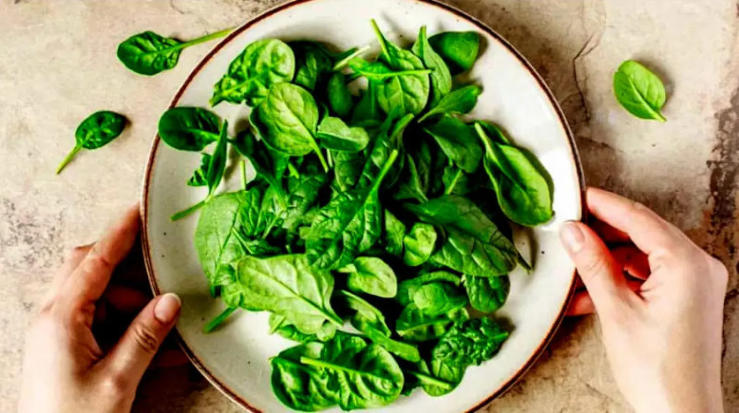 منتجات السبانخ تسبب  أمراضاً في أستراليا