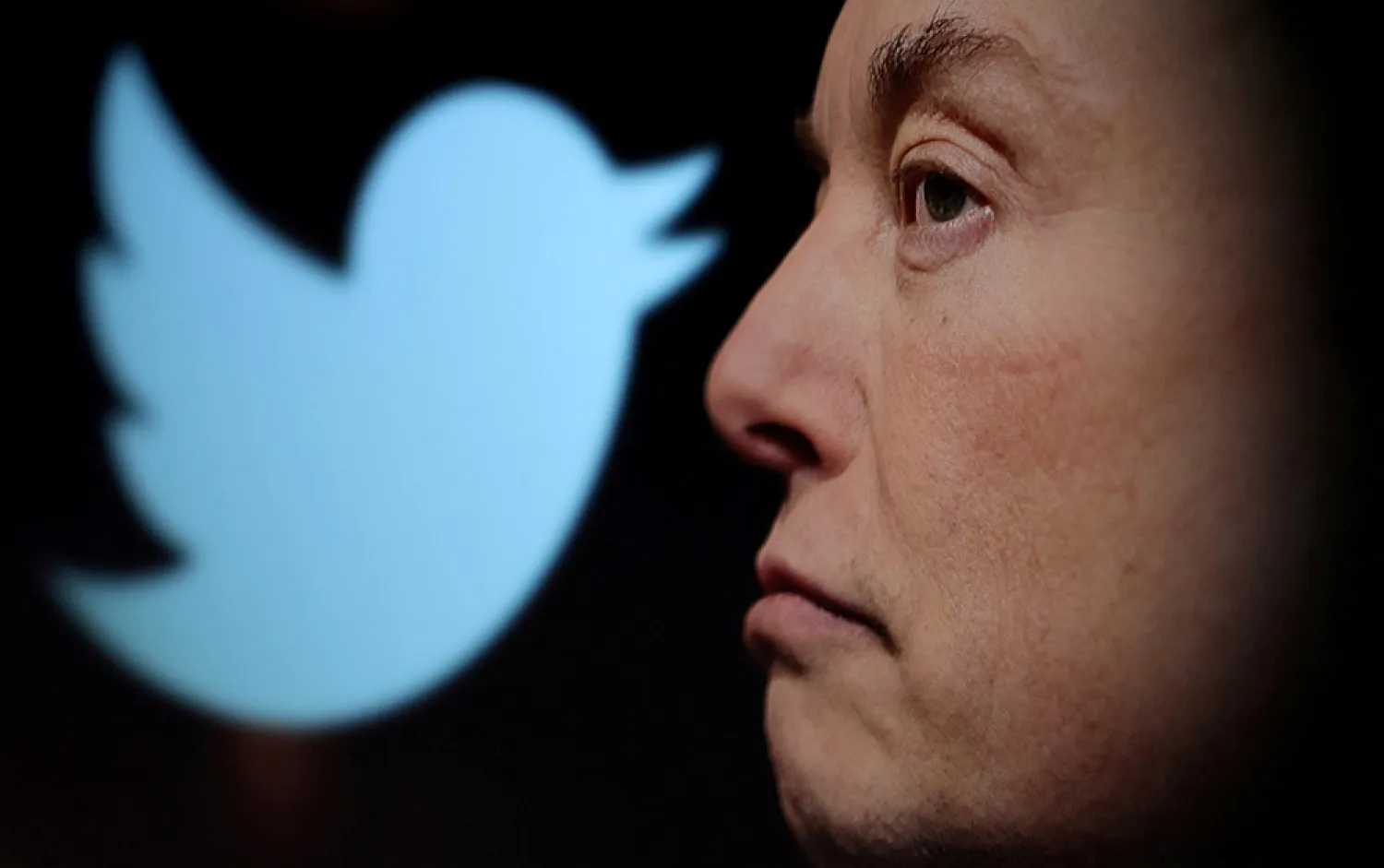 Twitter logo and a photo of Elon Musk are displayed through magnifier in this illustration taken October 27, 2022. (Reuters)
