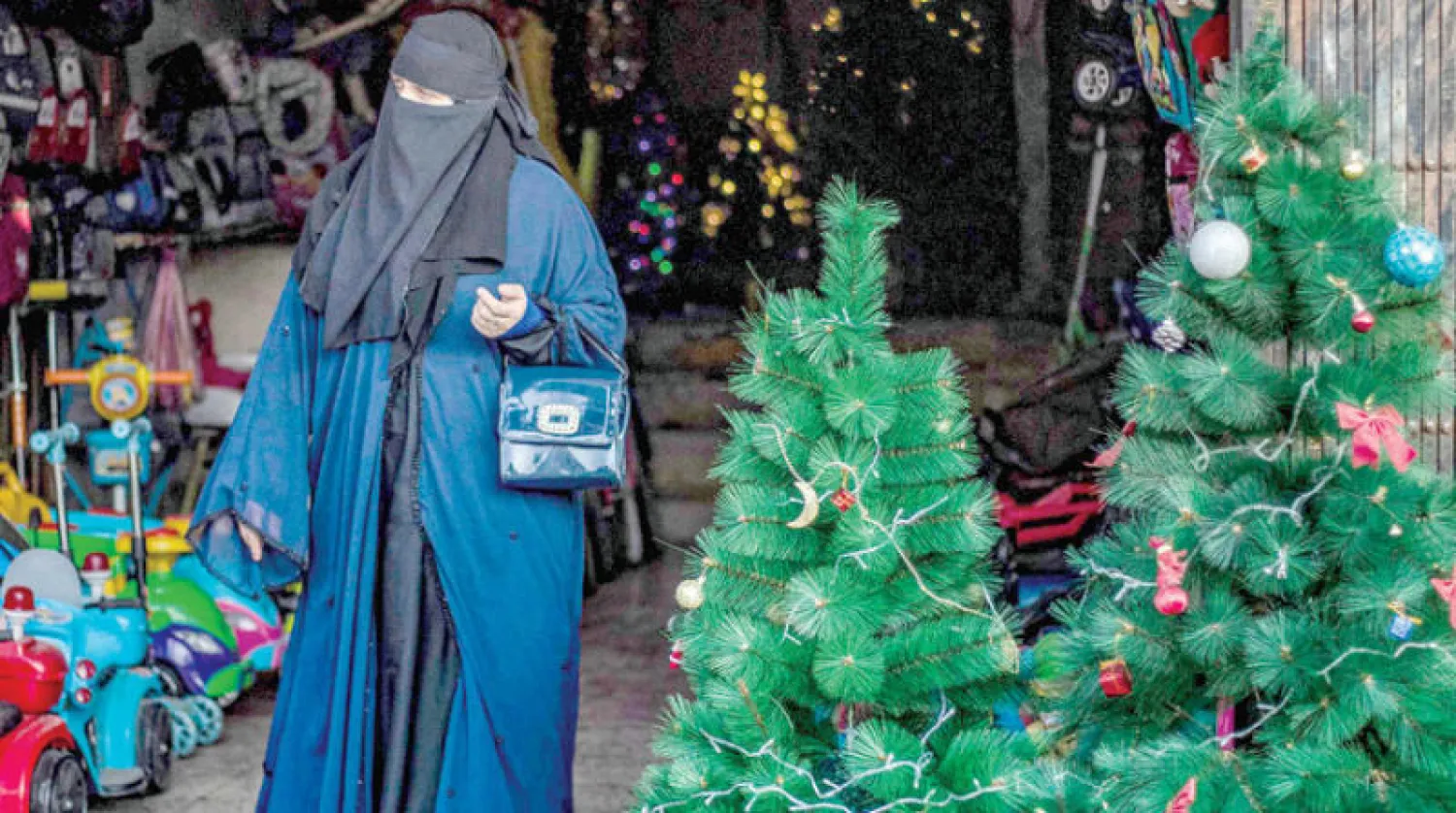 مواطنة في سوق بمدينة الرقة شمال سوريا يوم الثلاثاء (أ.ف.ب)