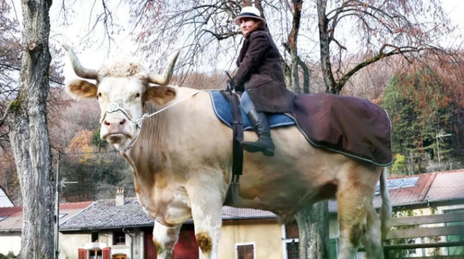 Sabine Rouas ve Aston adlı boğası. (AFP)