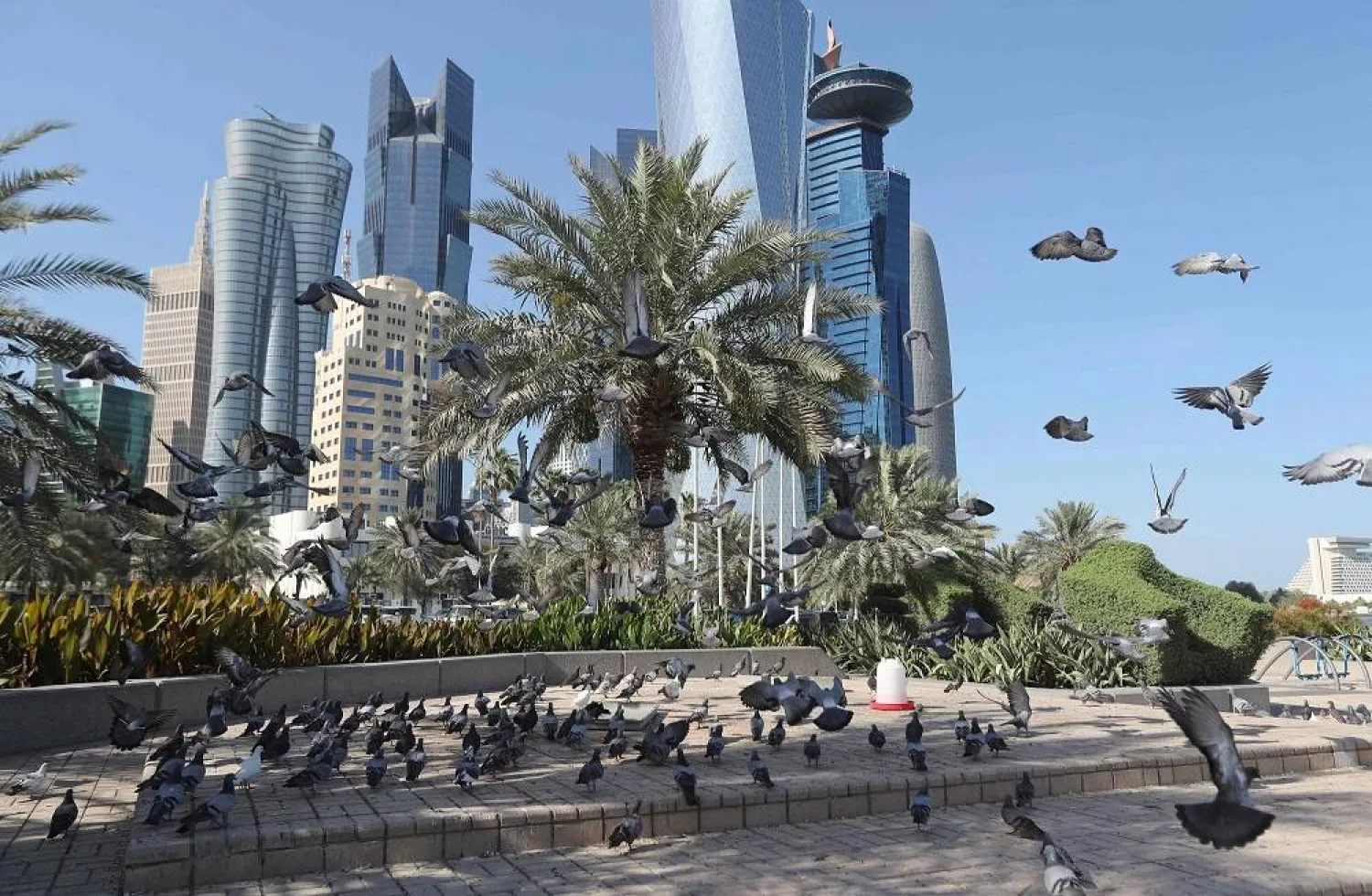 A general view taken on June 5, 2017, shows pigeons flying above the corniche in Doha, Qatar. (AFP)