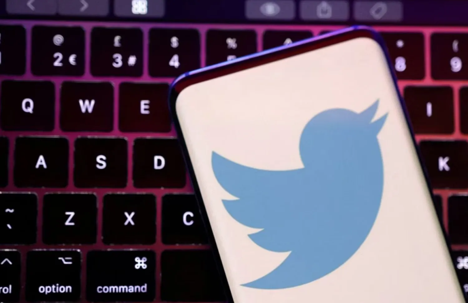 Twitter app logo is seen in this illustration taken, August 22, 2022. REUTERS/Dado Ruvic/Illustration/File Photo
