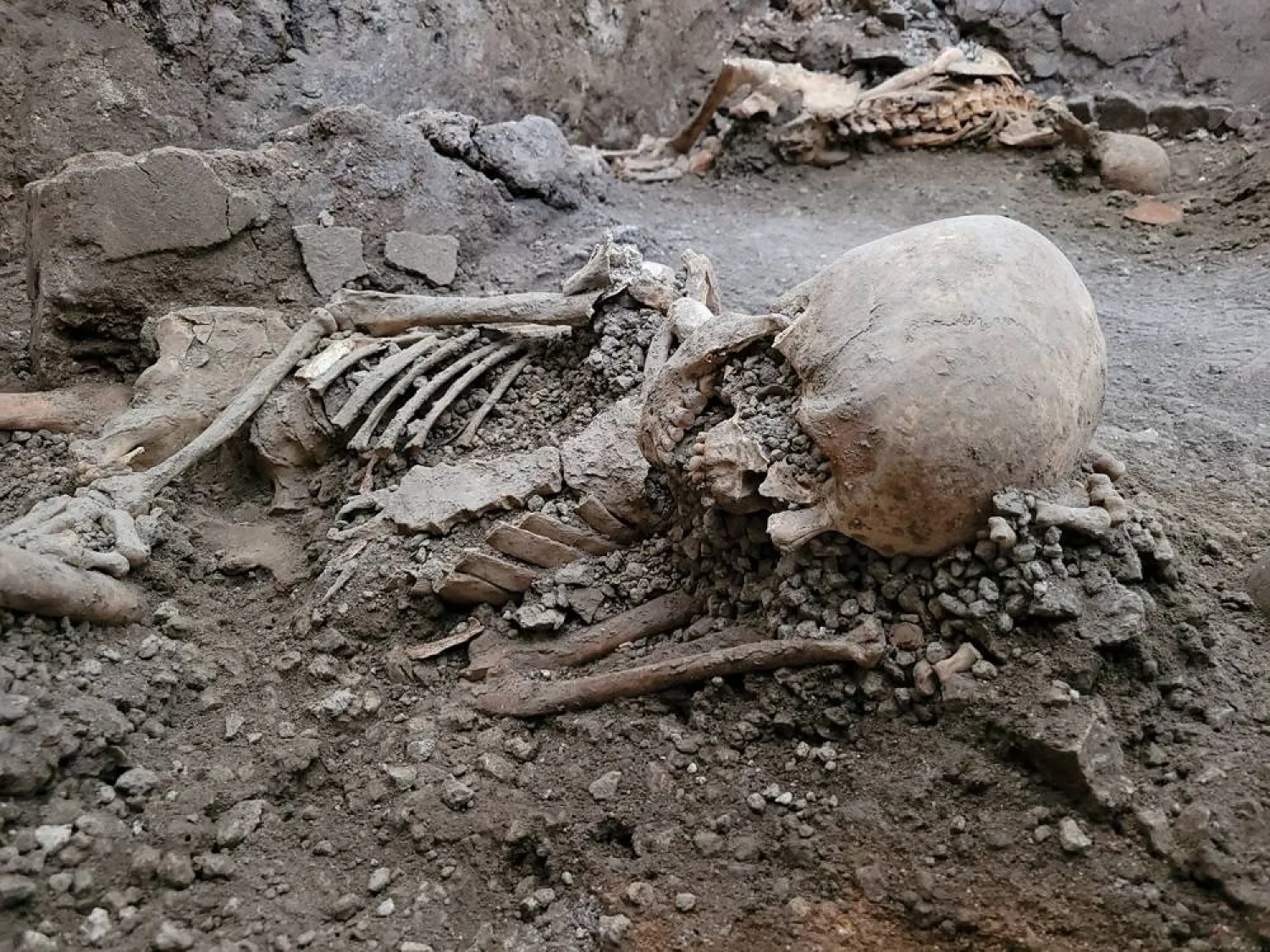 This undated photo issued as a handout on May 16, 2023 by the Archaeological Park of Pompeii shows two skeletons uncovered at the Archaeological Park of Pompeii, likely middle-aged males who died in an earthquake during the devastating volcanic eruption that buried the Italian city in 79 AD. (Photo by Handout / Parco Archeologico di Pompei press office / AFP)  
