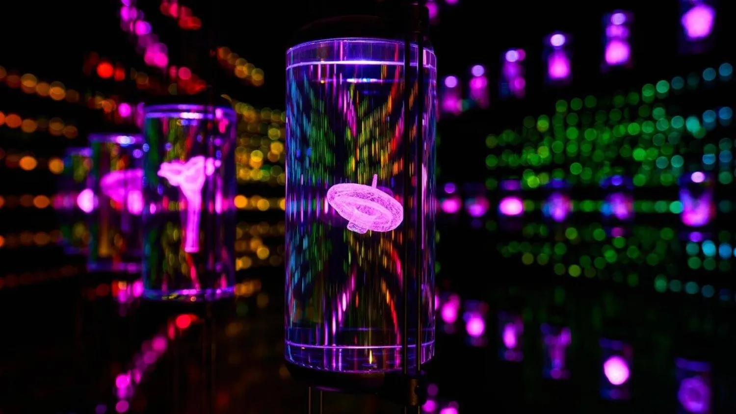 داخل قبو الحياة في متحف معهد شفاء المستقبل (متحف الشفاء)