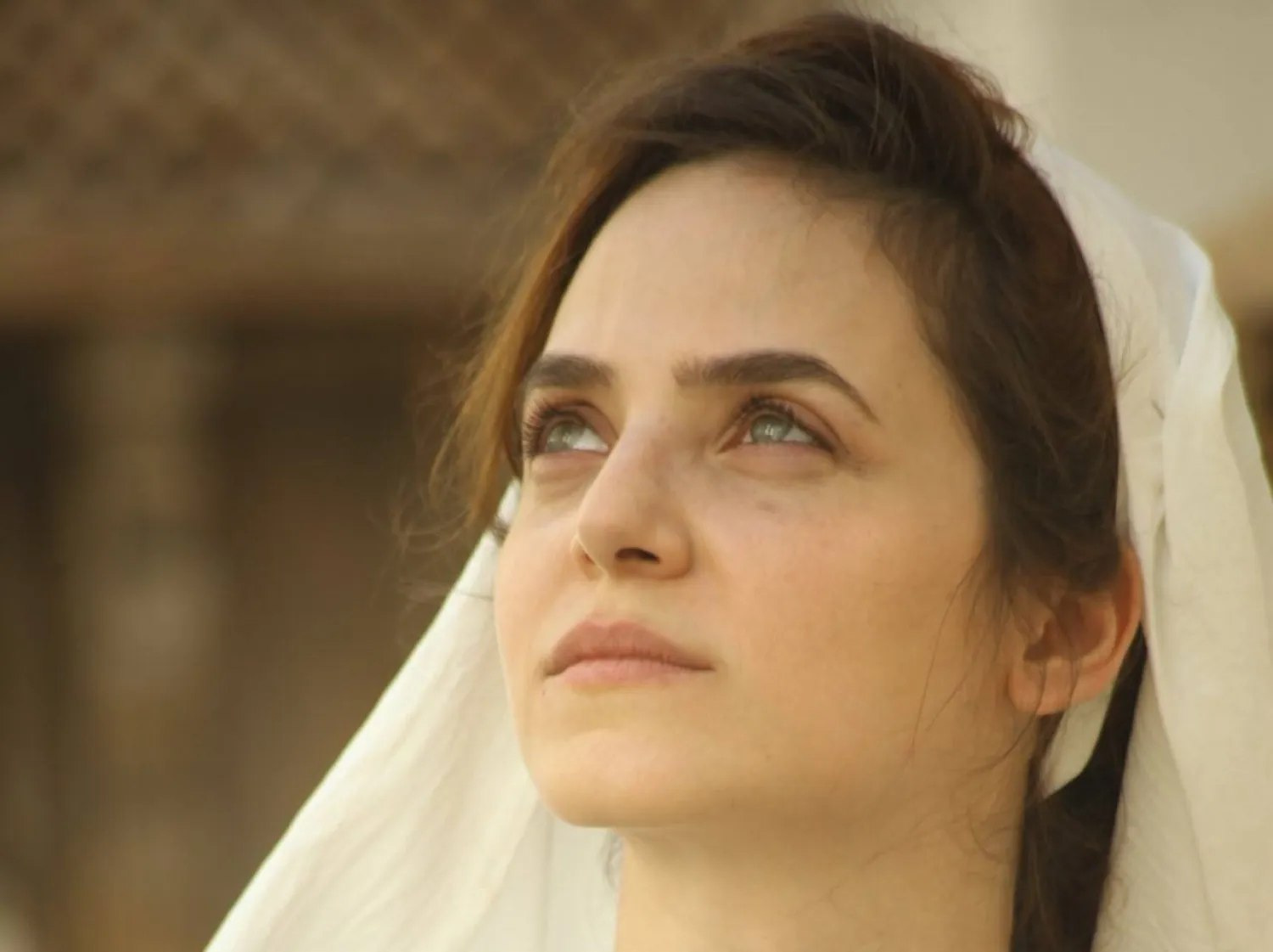 نتاشا شوفاني ترى الفرص مكافأة بعد التعب (سعيد عبد الغني)