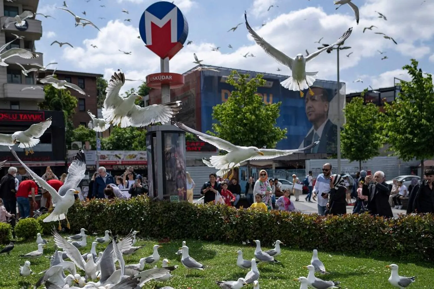 Seagulls gather on grass close to an electoral poster bearing a portrait of the Turkish President and leader of the Justice and Development (AK) Party Recep Tayyip Erdogan ahead of the May 28 presidential runoff vote, in Istanbul, Türkiye, on May 27, 2023. (AFP) 