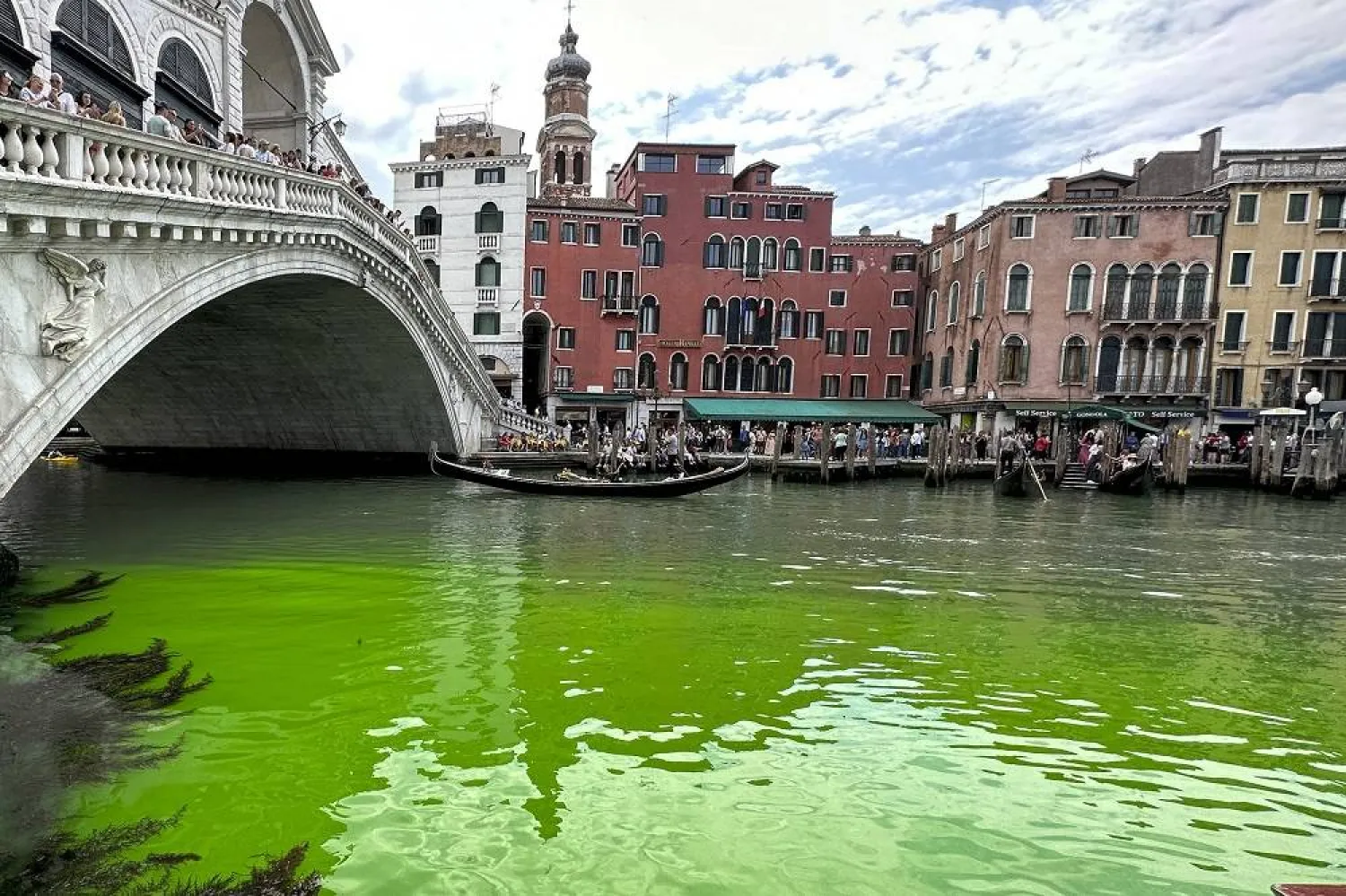 Gondolas navigate by the Rialto Bridge on Venice's historical Grand Canal as a patch of phosphorescent green liquid spreads in it, Sunday, May 28, 2023. (AP) 