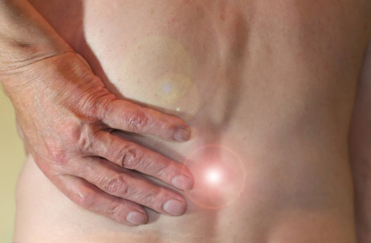 تعد آلام الرقبة وآلام أسفل الظهر من أكثر أمراض الجهاز العضلي الهيكلي شيوعاً (بابليك دومين)