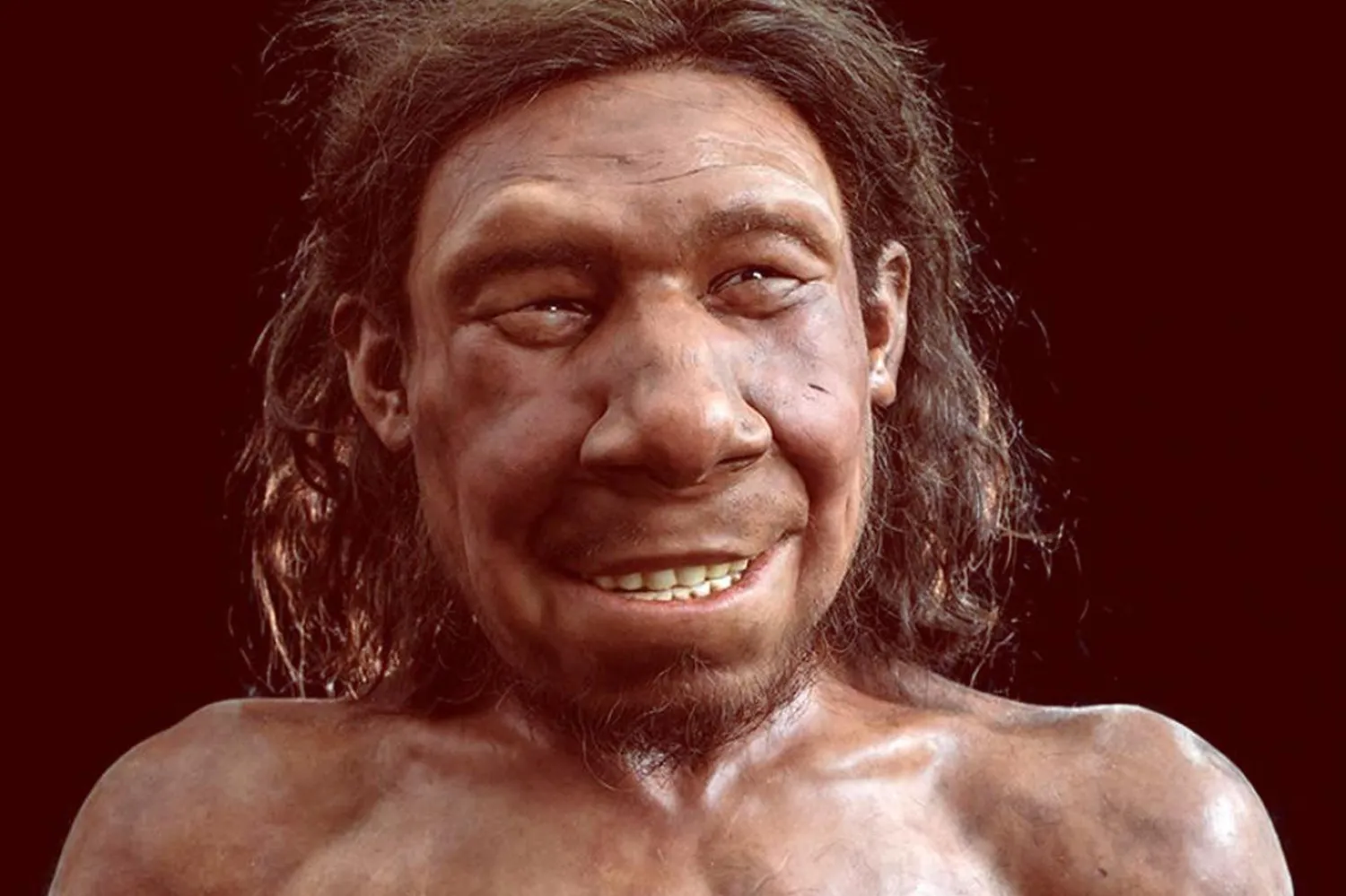 Homo sapiens, Neandertallere ait pek çok kalıtsal özellik taşıyor (Kennis & Kennis Reconstructions)