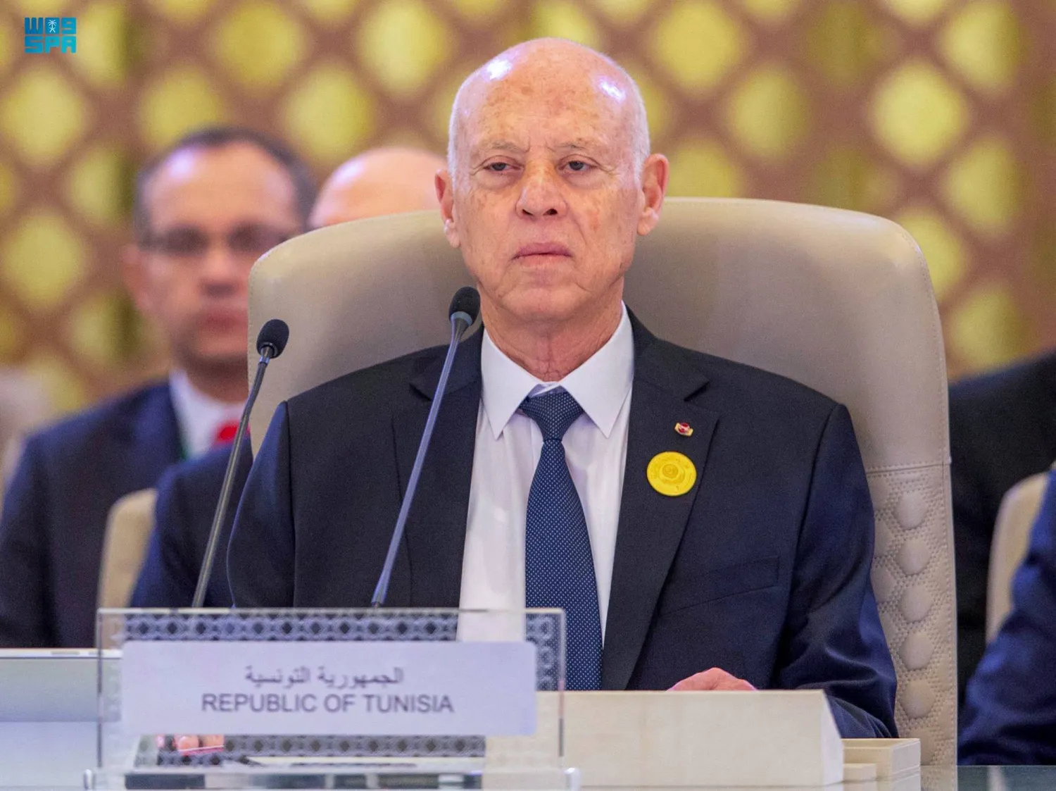 الرئيس التونسي قيس سعيد (أ.ف.ب)