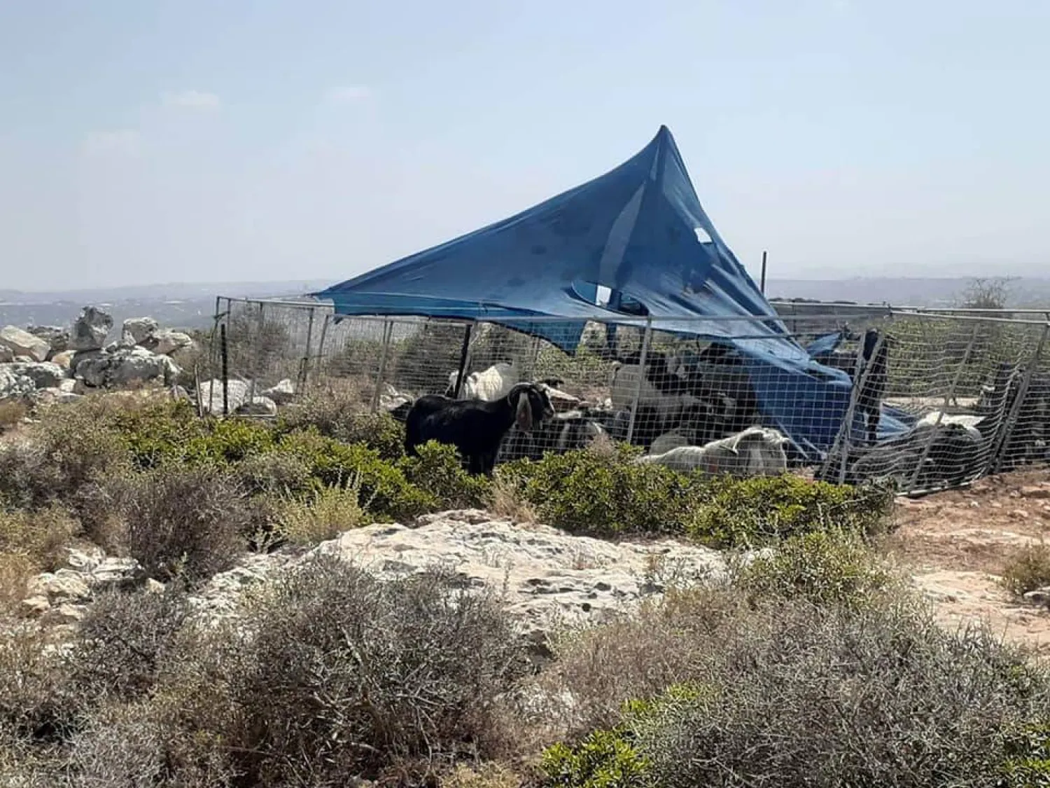 صورة أرشيفية لخيام نصبها مستوطنون على أراضي فلسطينيين في سلفيت بالضفة (وفا)