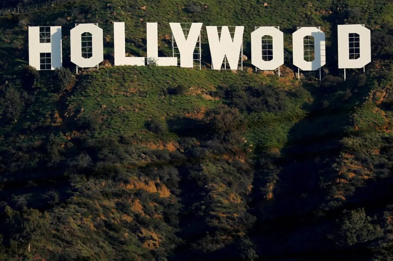The iconic Hollywood sign is shown on a hillside above a neighborhood in Los Angeles California, US, February 1, 2019. (Reuters) 