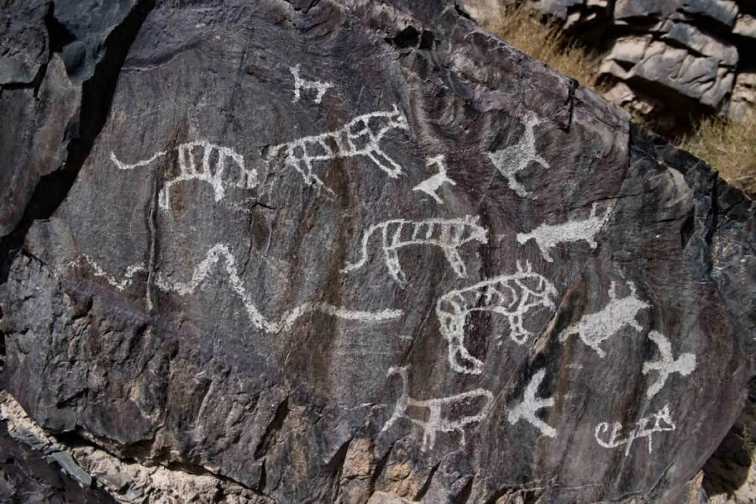 أرشيف رقمي للوحات الصخرية القديمة بمقاطعة صينية