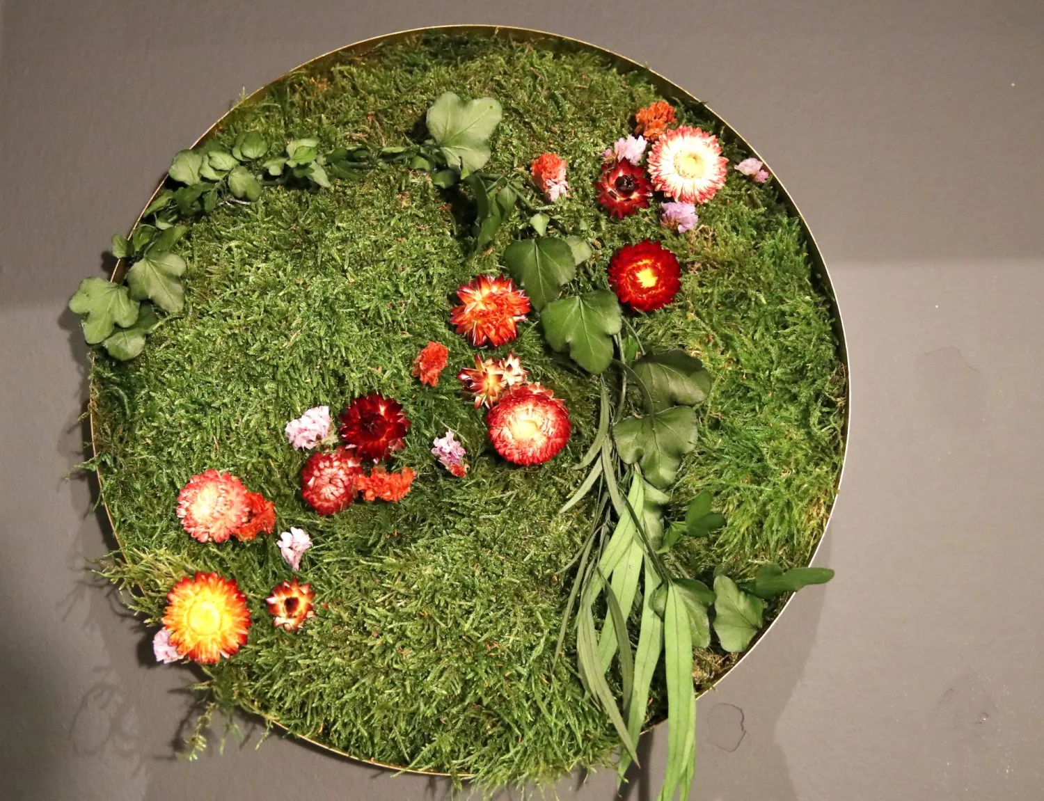 ماذا سيحلّ بالعالم إن اختفى البشر؟