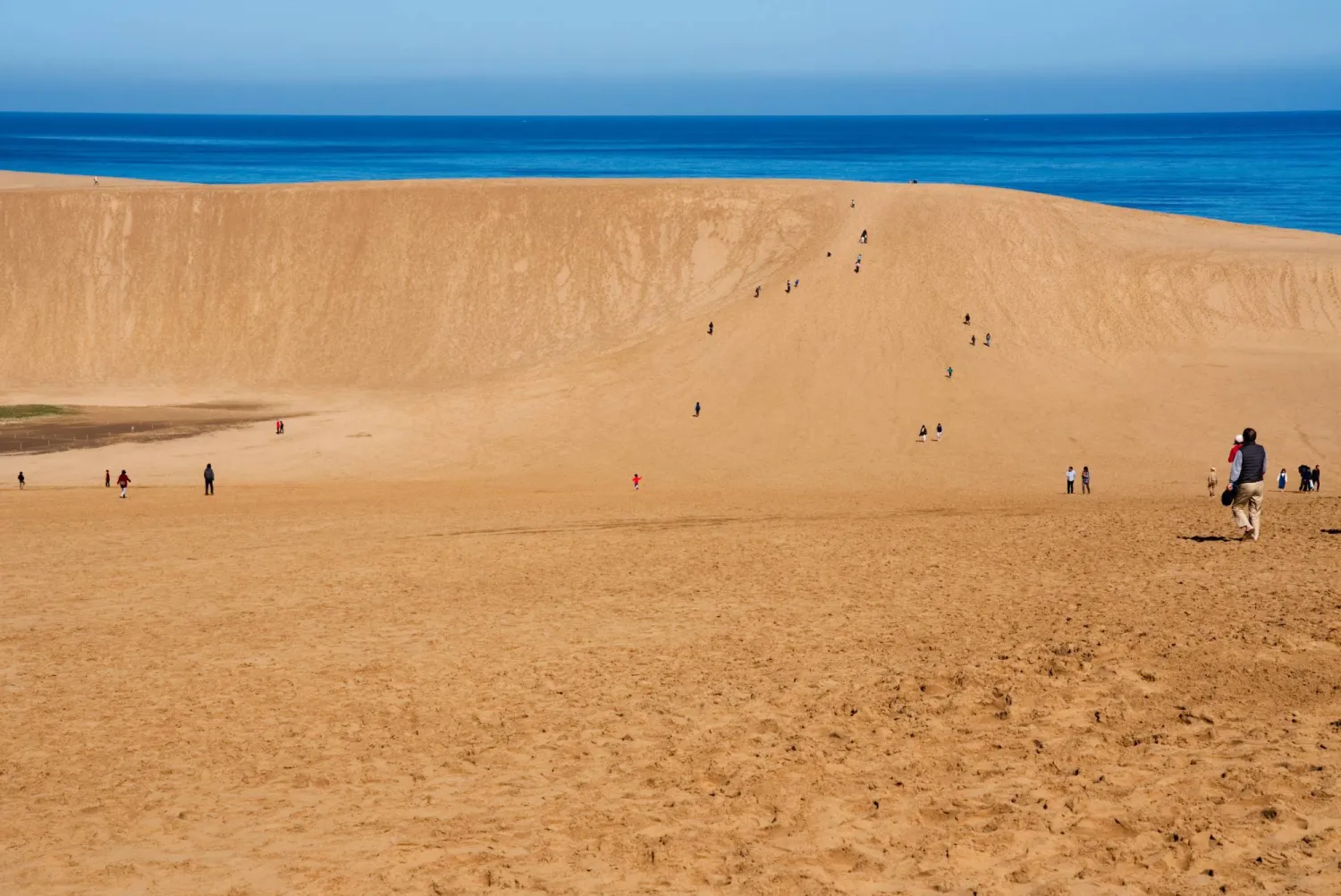 تمتد كثبان «توتوري» الرملية المسافة 10 أميال عبر الساحل (تشاترستوك)