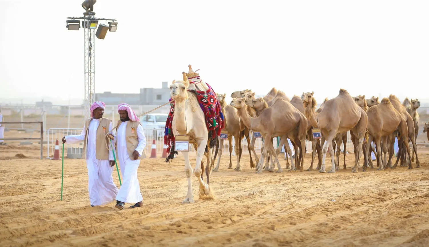 حصل المشارك مبارك العجمي بالفردية «ردة مسكتات الصفر» على المركز الأول (واس)
