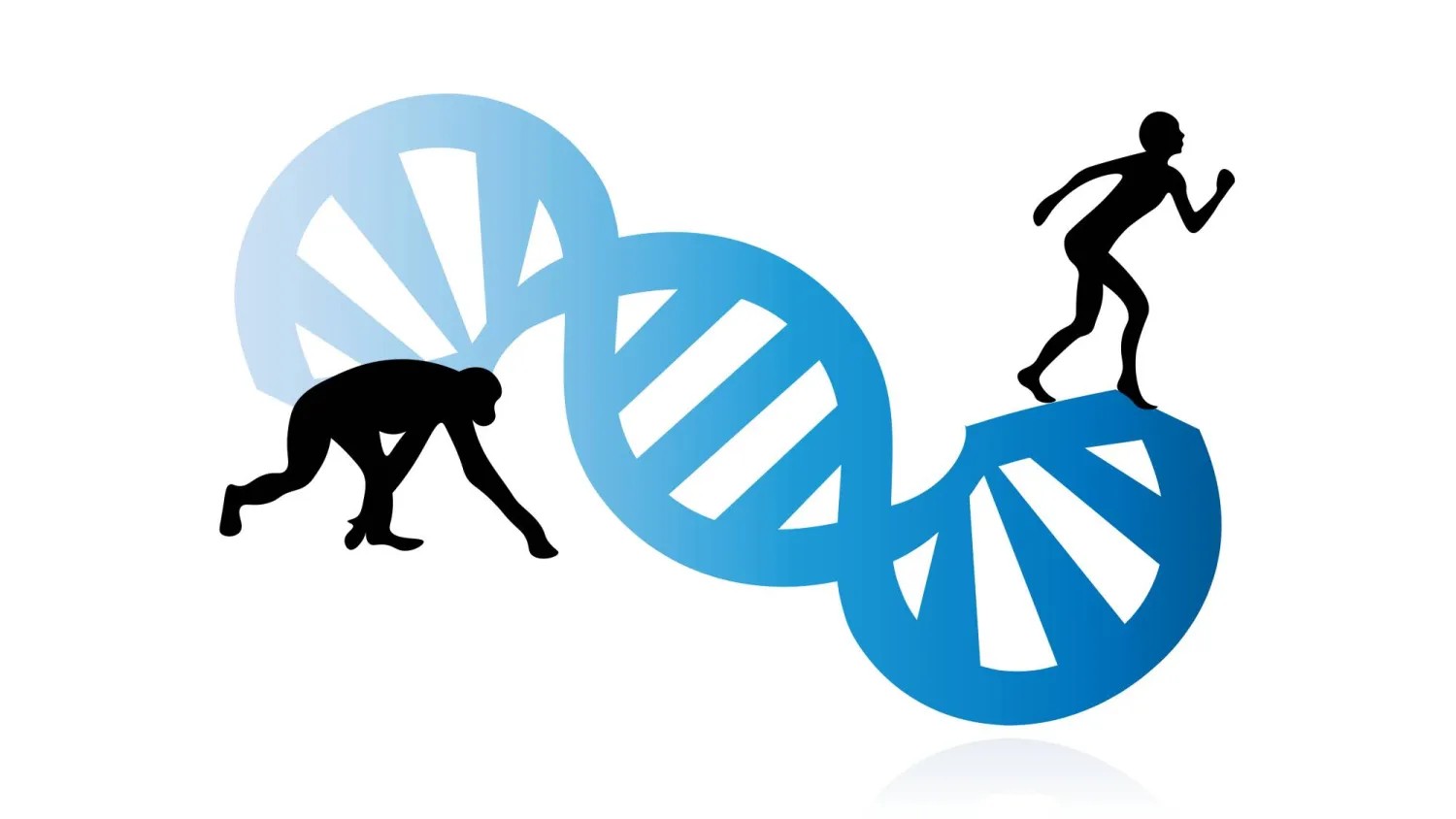 الطفرات في الجينوم البشري... هل هي السبب في أمراض الإنسان؟