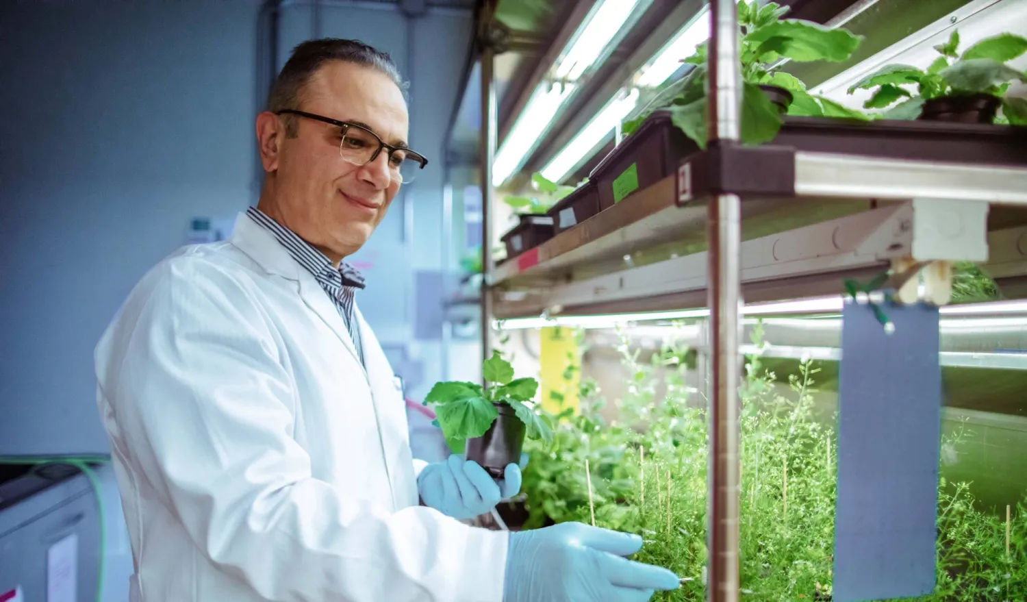 البروفسور سليم البابلي (كاوست)