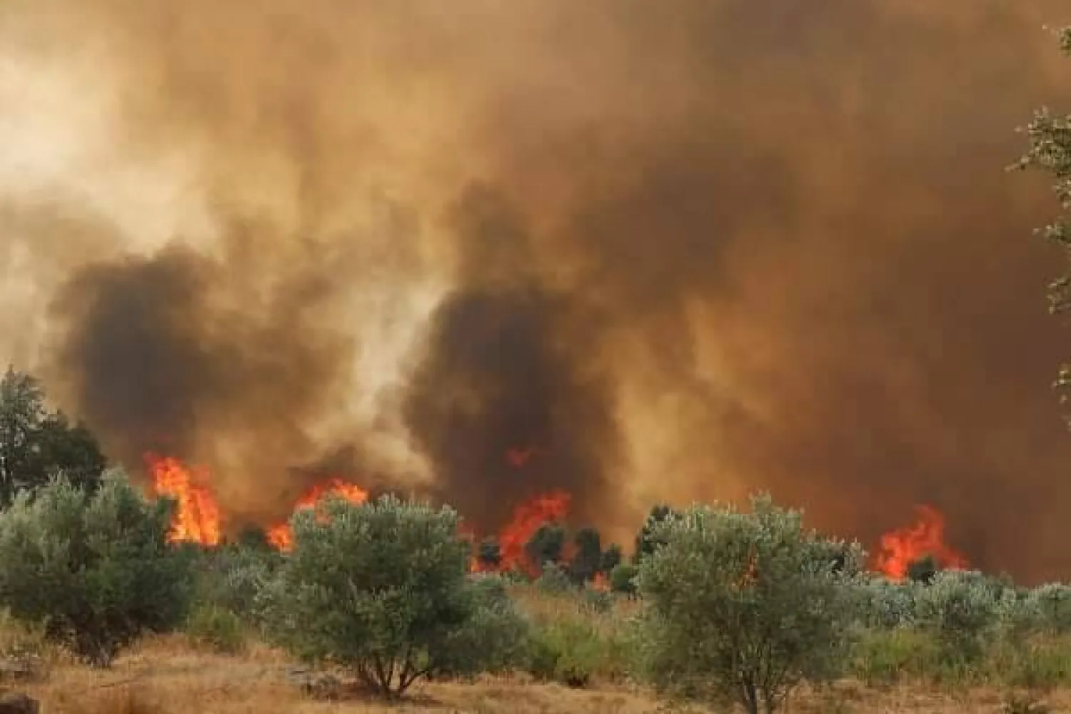 من الحرائق التي شهدتها عدة مناطق مغربية الصيف الماضي (الشرق الأوسط)