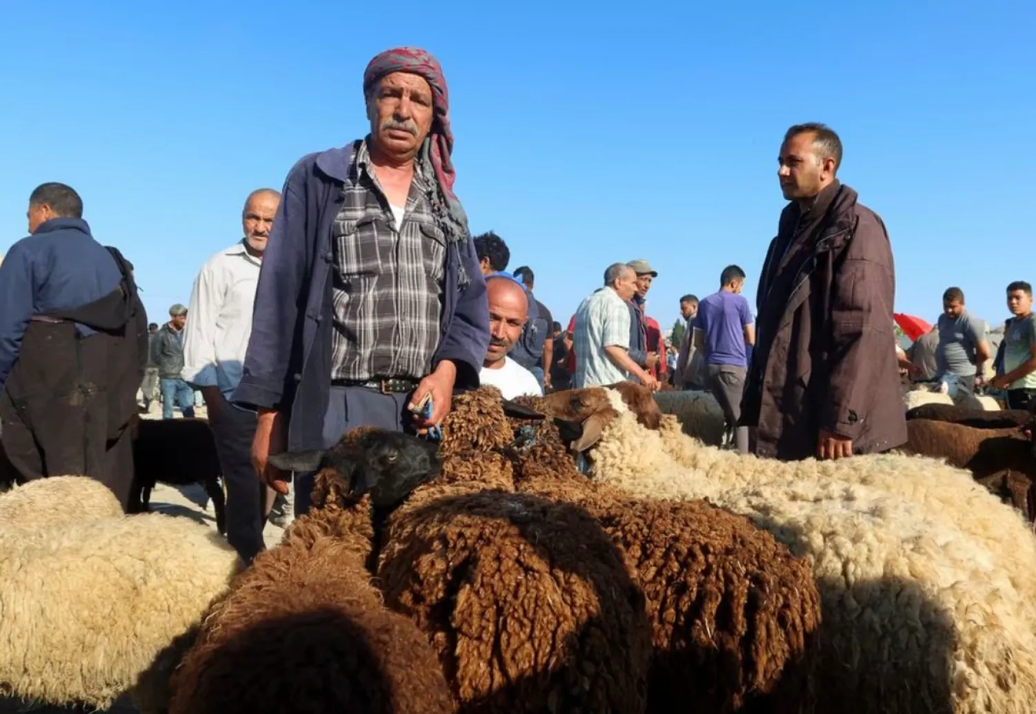 A Tunisian sheep breeder waits for customers at a livestock market in Borj El Amri, ahead of the Eid al-Adha, Tunisia June 17, 2023. REUTERS/Jihed Abidellaoui/File Photo
