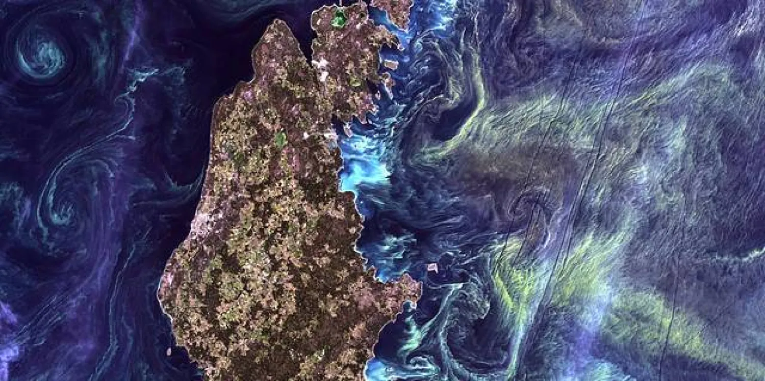 العوالق النباتية الخضراء في غوتلاند، أكبر الجزر السويدية (ناسا)