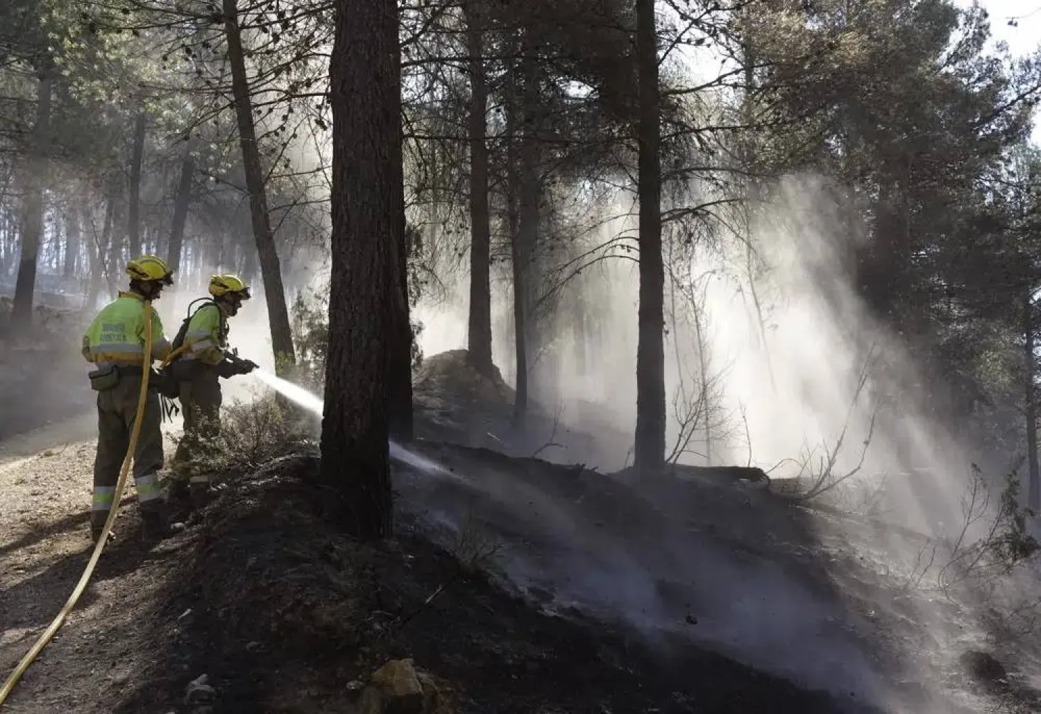 FILE - Firefighters try to extinguish a forest fire in Fuente la Reina, Castellon de la Plana, Spain, March 29, 2023. (AP Photo/Alberto Saiz, File)