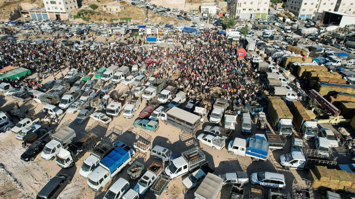فلسطينيون يتسوقون في سوق الماشية قبل احتفالات عيد الأضحى بالقرب من الخليل في الضفة الغربية المحتلة (رويترز)