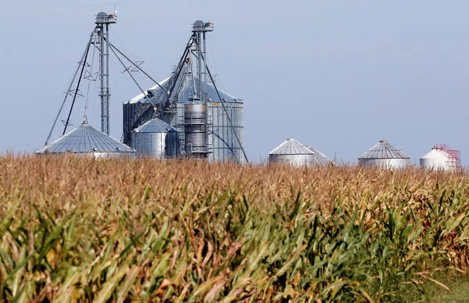 Grain bins are seen on the property that was formerly part of the Gibson family farmstead in Morocco, Indiana, September 13, 2016. (Reuters)