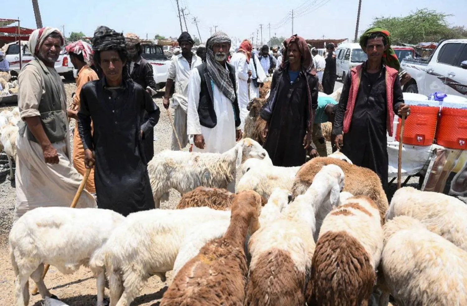 تجار يبيعون خراف العيد في بورتسودان (رويترز)