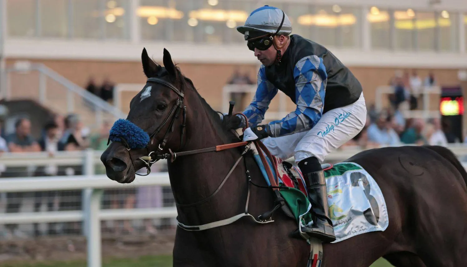 زايدة عذبة حققت أنجازا جديدا بإسم الفروسية السعودية "الشرق الأوسط"