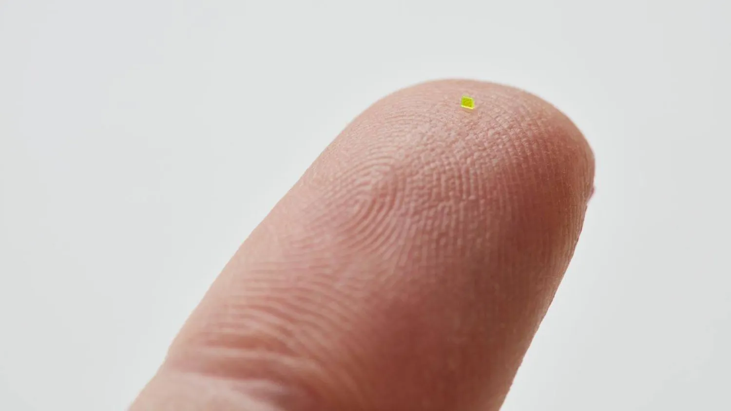 حقيبة اليد بيعت إلى جانب مجهر «يتميز بشاشة رقمية مدمجة» (إنستغرام)