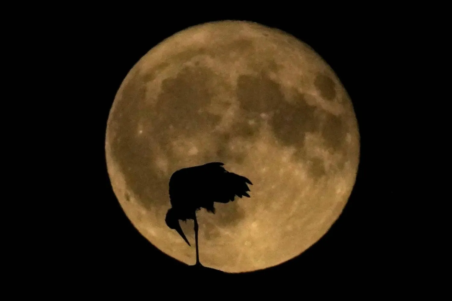 Fotoğraf: AP