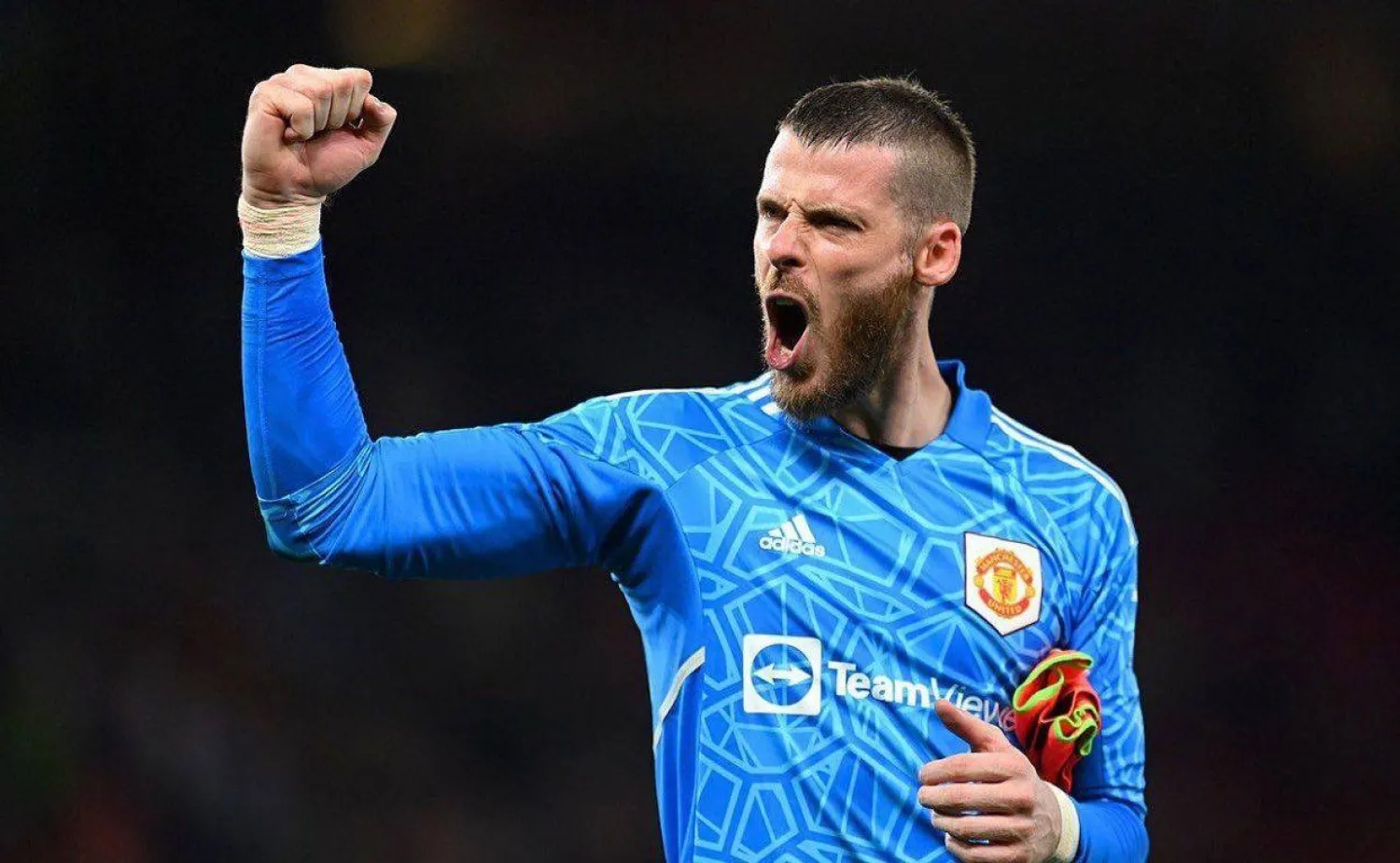 الحارس الإسباني ديفيد دي خيا (أ.ب)