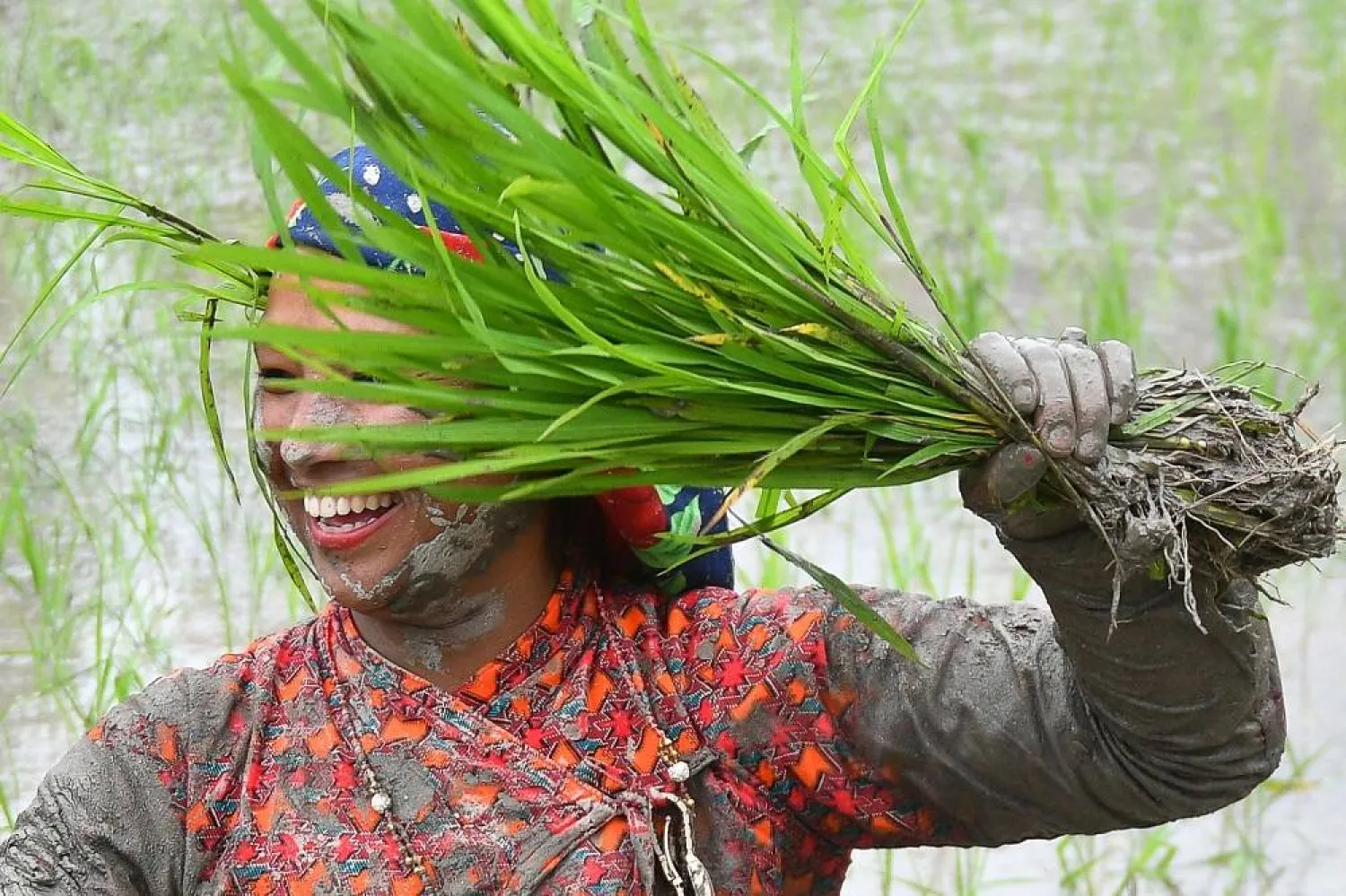 A mud-covered farmer dances in a rice paddy field during "National Paddy Day", which marks the start of the annual rice planting season, in Tokha village on the outskirts of Kathmandu on June 30, 2023. (AFP)