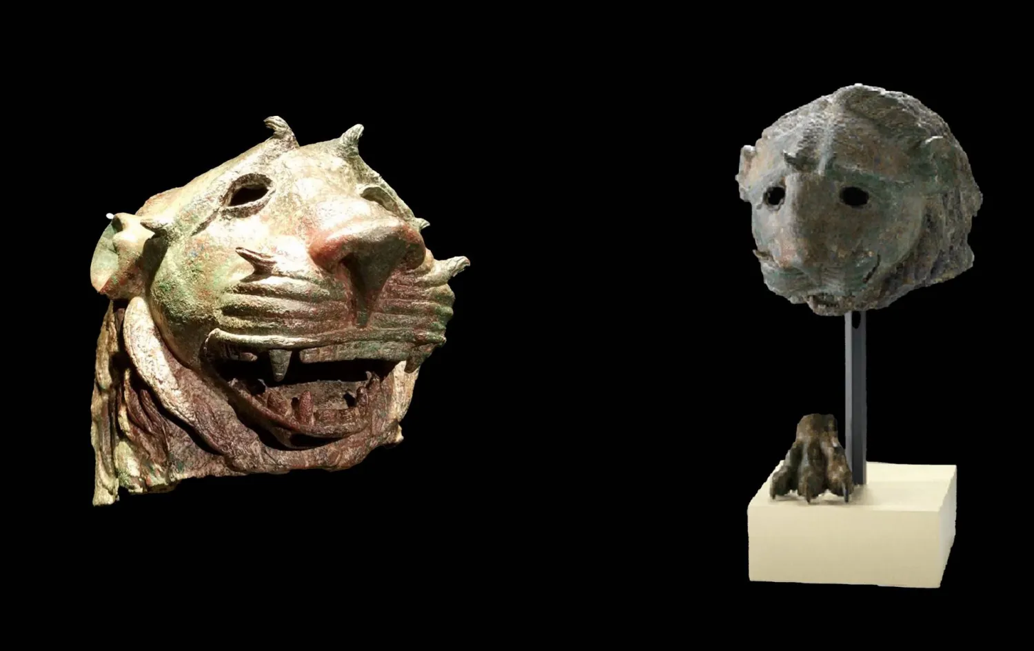 رأس أسد برونزي من نجران محفوظ في المتحف الوطني بالرياض