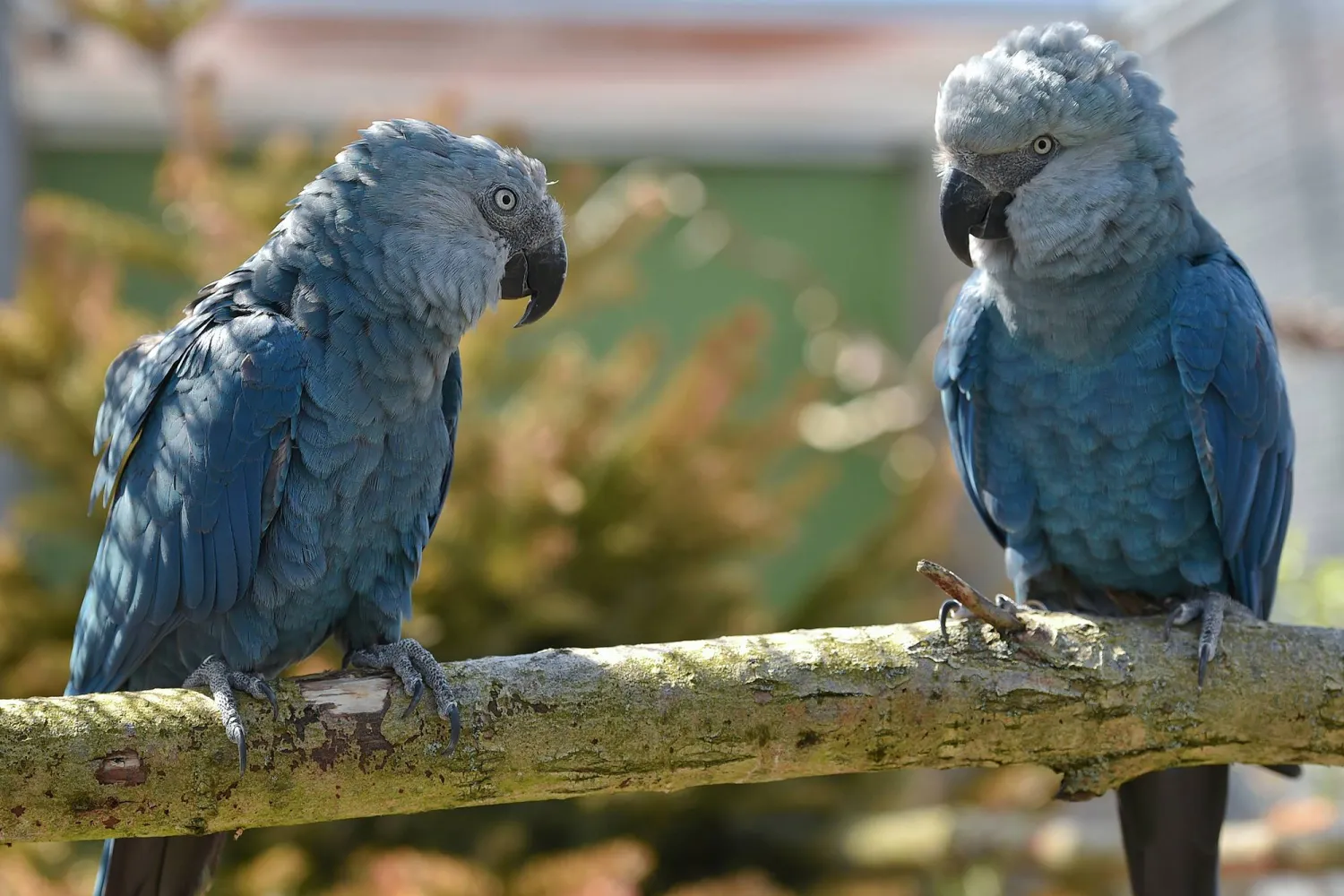 ارتفاع نسبة خيانة الذكور مرتبط بزيادة معدلات الطلاق (أ.ف.ب)