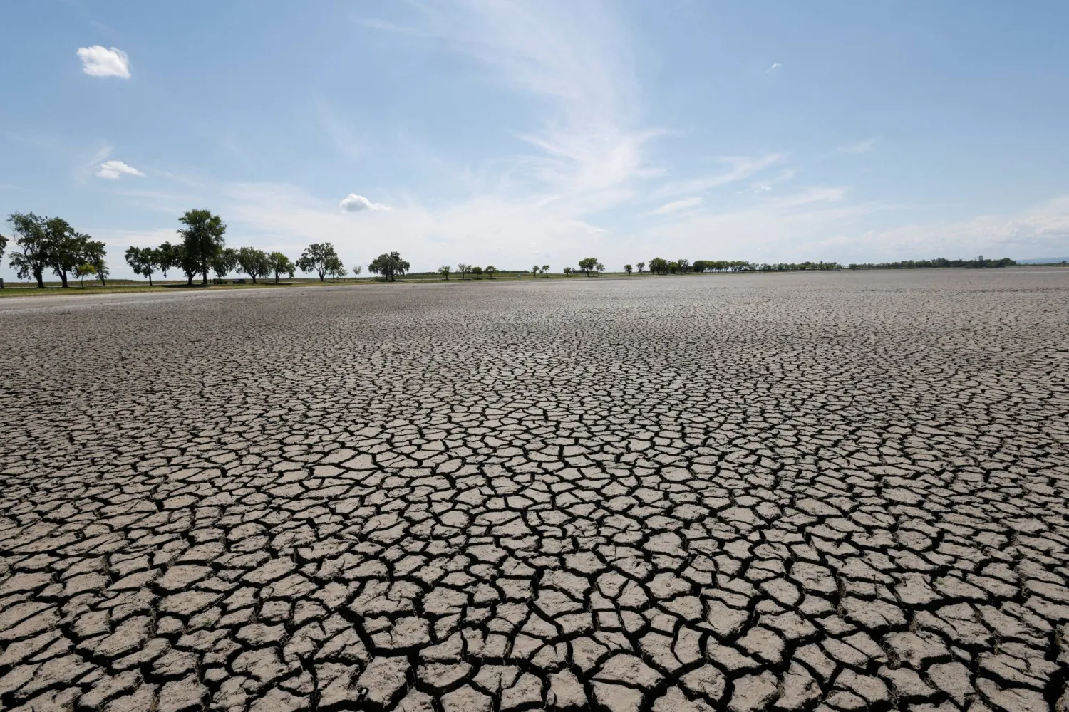 A general view shows almost dried up Lake Zicksee near Sankt Andrae, as another heatwave is predicted for parts of the country, in Austria, August 12, 2022. REUTERS/Leonhard Foeger/



