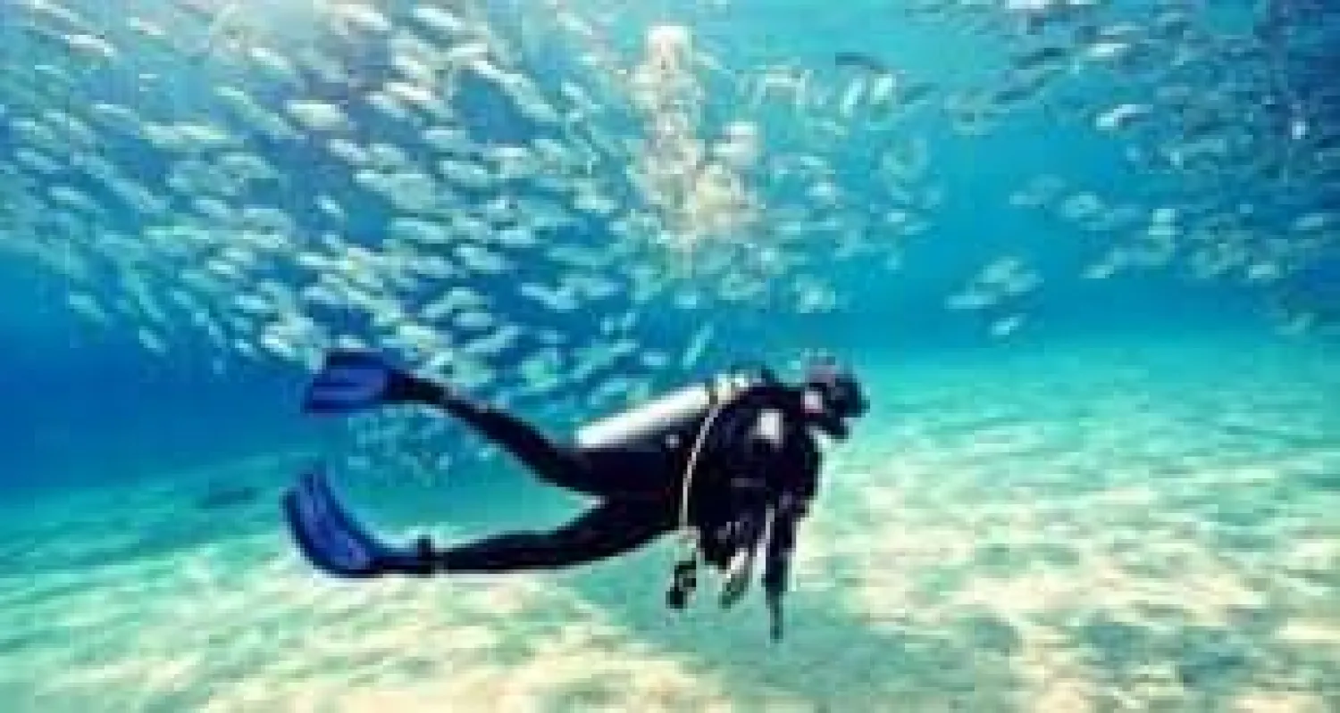 نشاط الغوص في البحر الأحمر (هيئة السياحة المصرية)