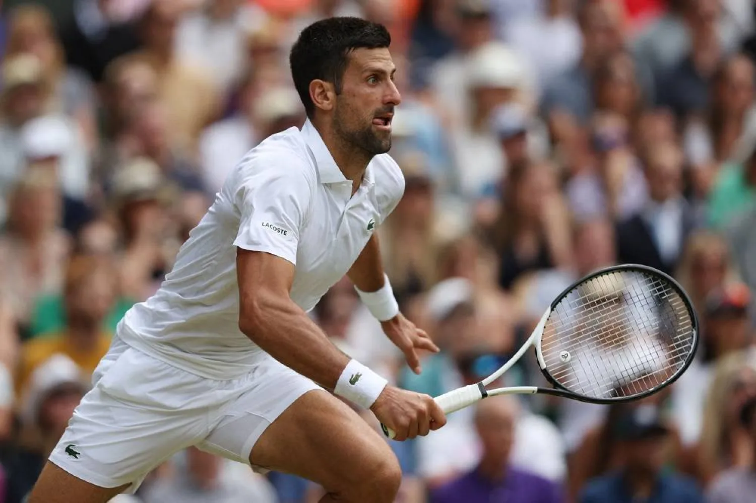 Serbia's Novak Djokovic runs to play a return against Poland's Hubert Hurkacz during their men's singles tennis match on the eighth day of the 2023 Wimbledon Championships at The All England Tennis Club in Wimbledon, southwest London, on July 10, 2023. (AFP) 