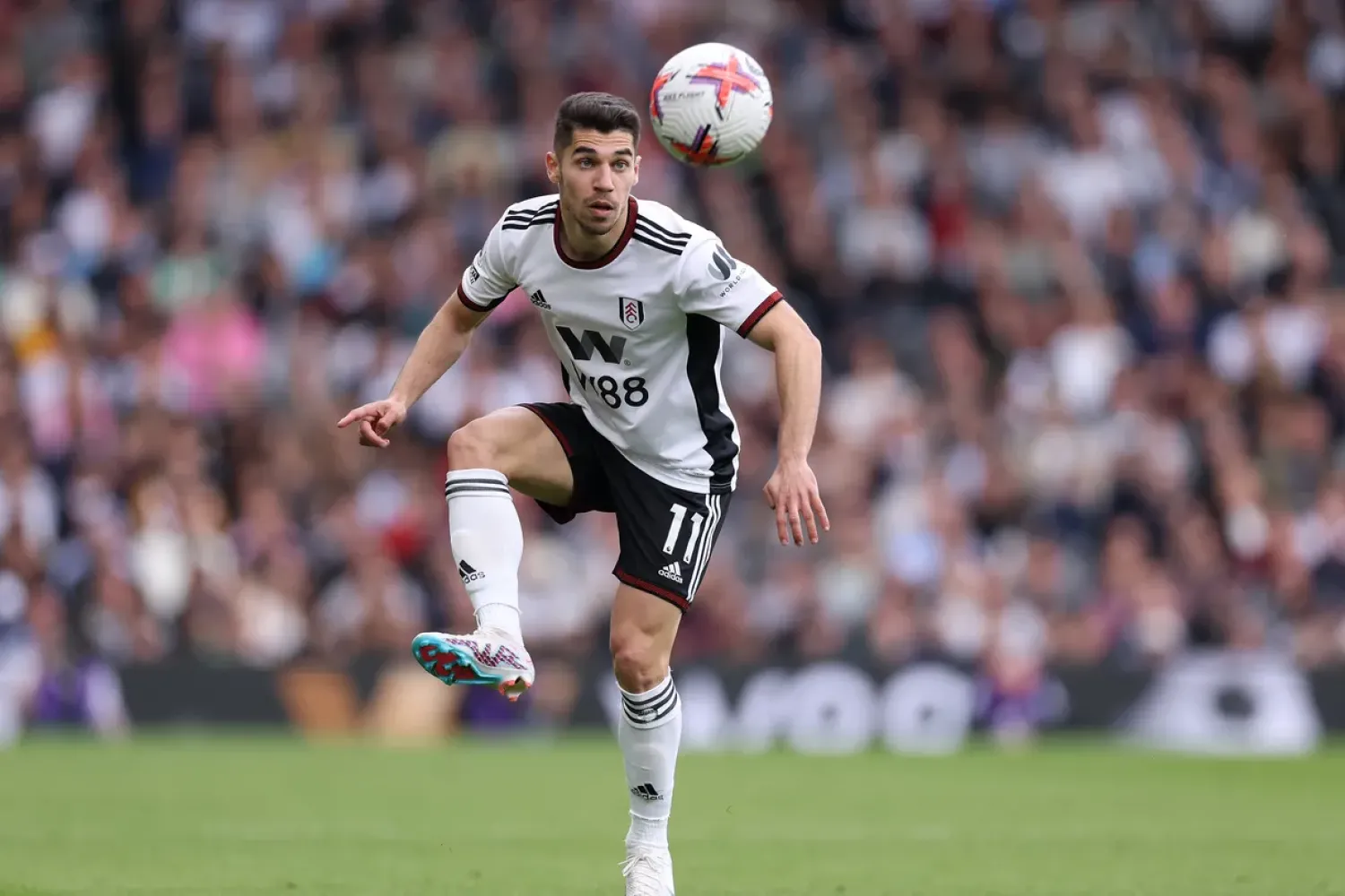 الجناح مانور سولومون (غيتي)