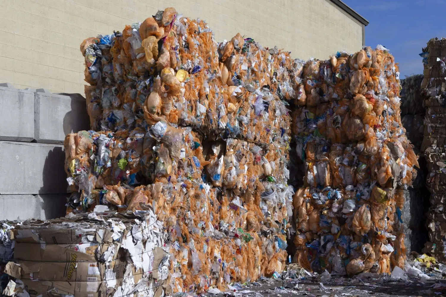 تحويل مخلفات الطعام لطاقة حيوية قد يصبح صناعة مربحة؟!