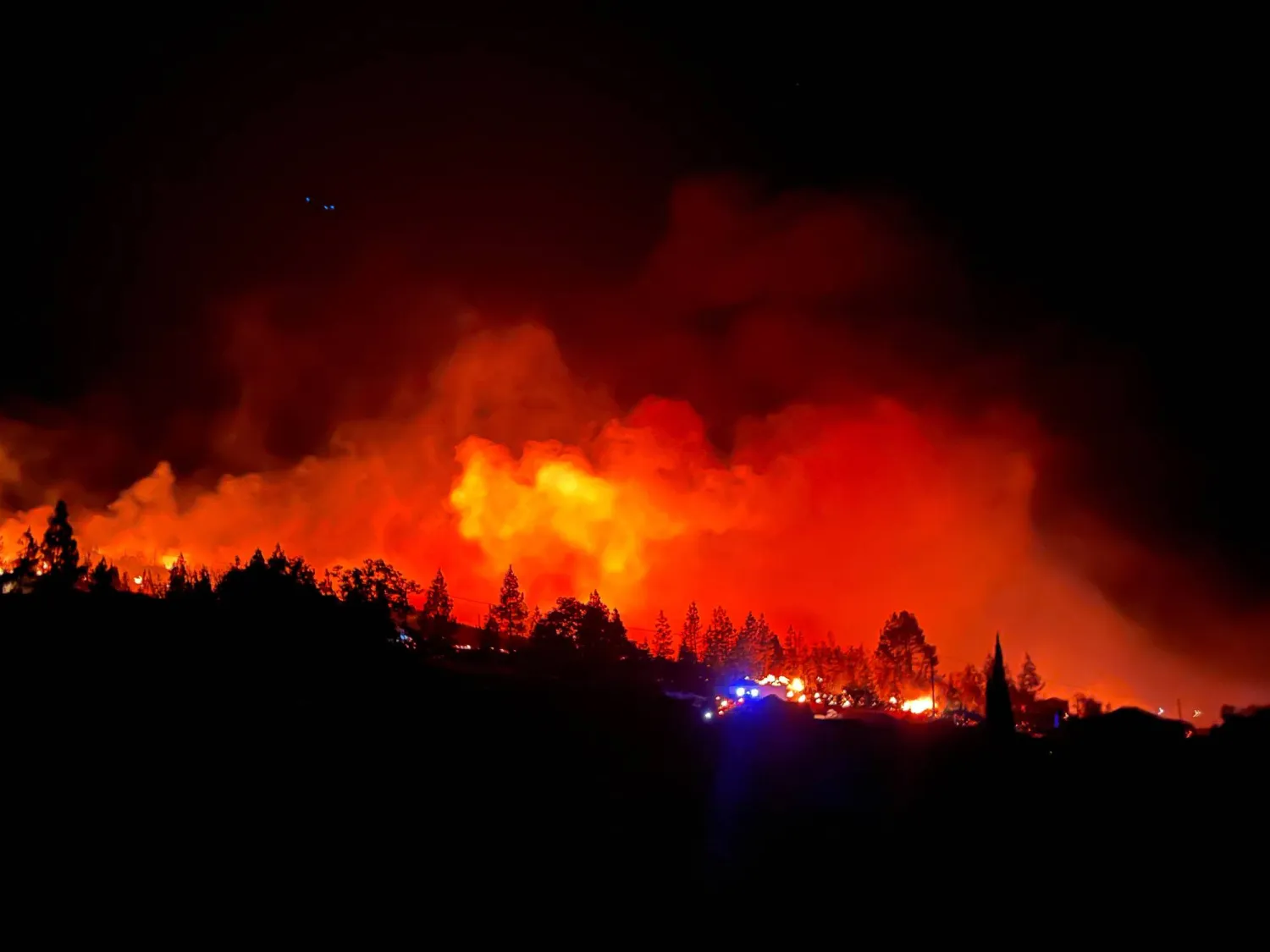 أدت حرائق الغابات إلى إتلاف ما يقرب من 350 فداناً في غابات بونتا غوردا (إ.ب.أ)