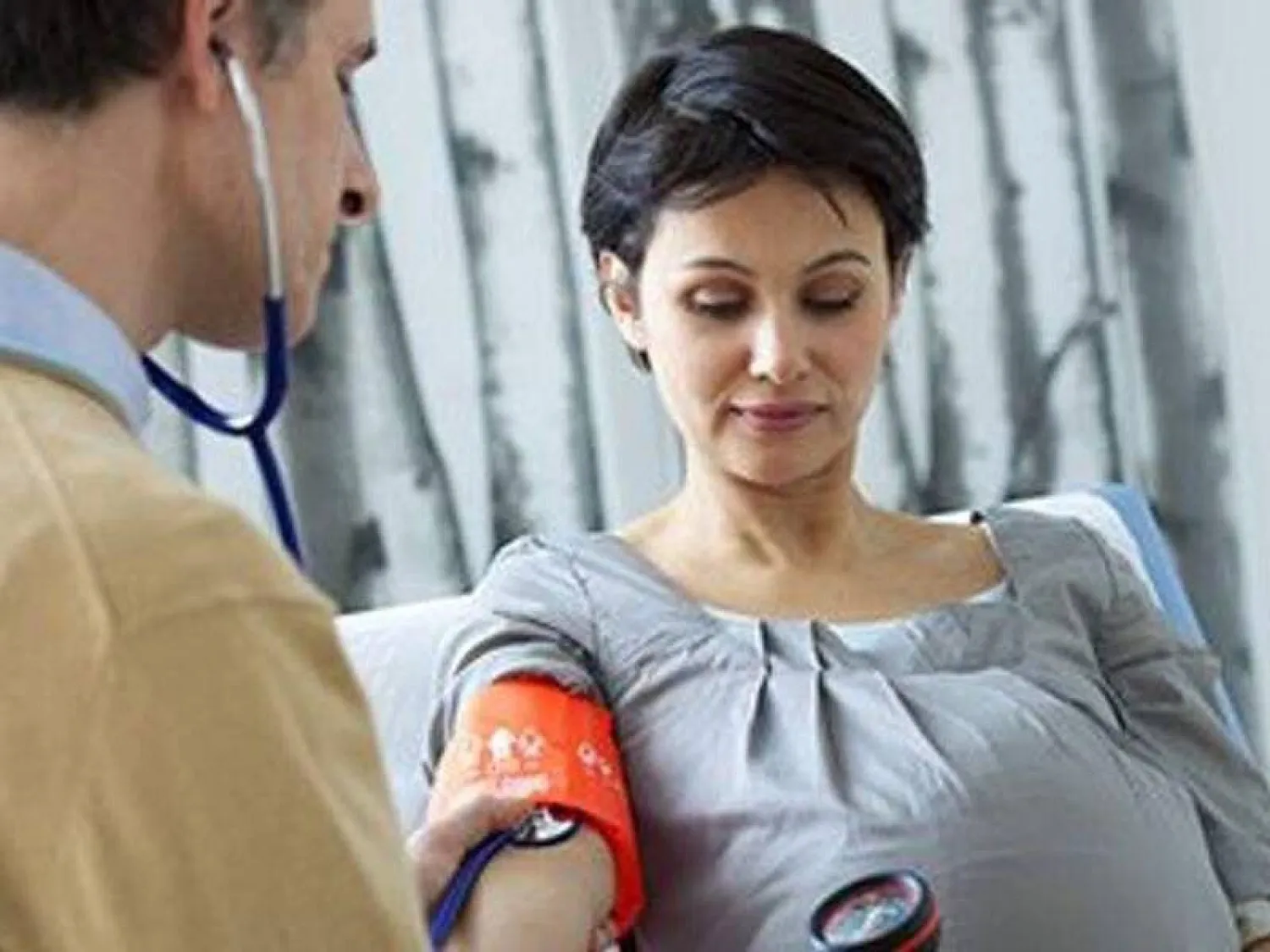 طرق بسيطة للتنبؤ بتسمم الحمل المصدر (بابليك دومين)