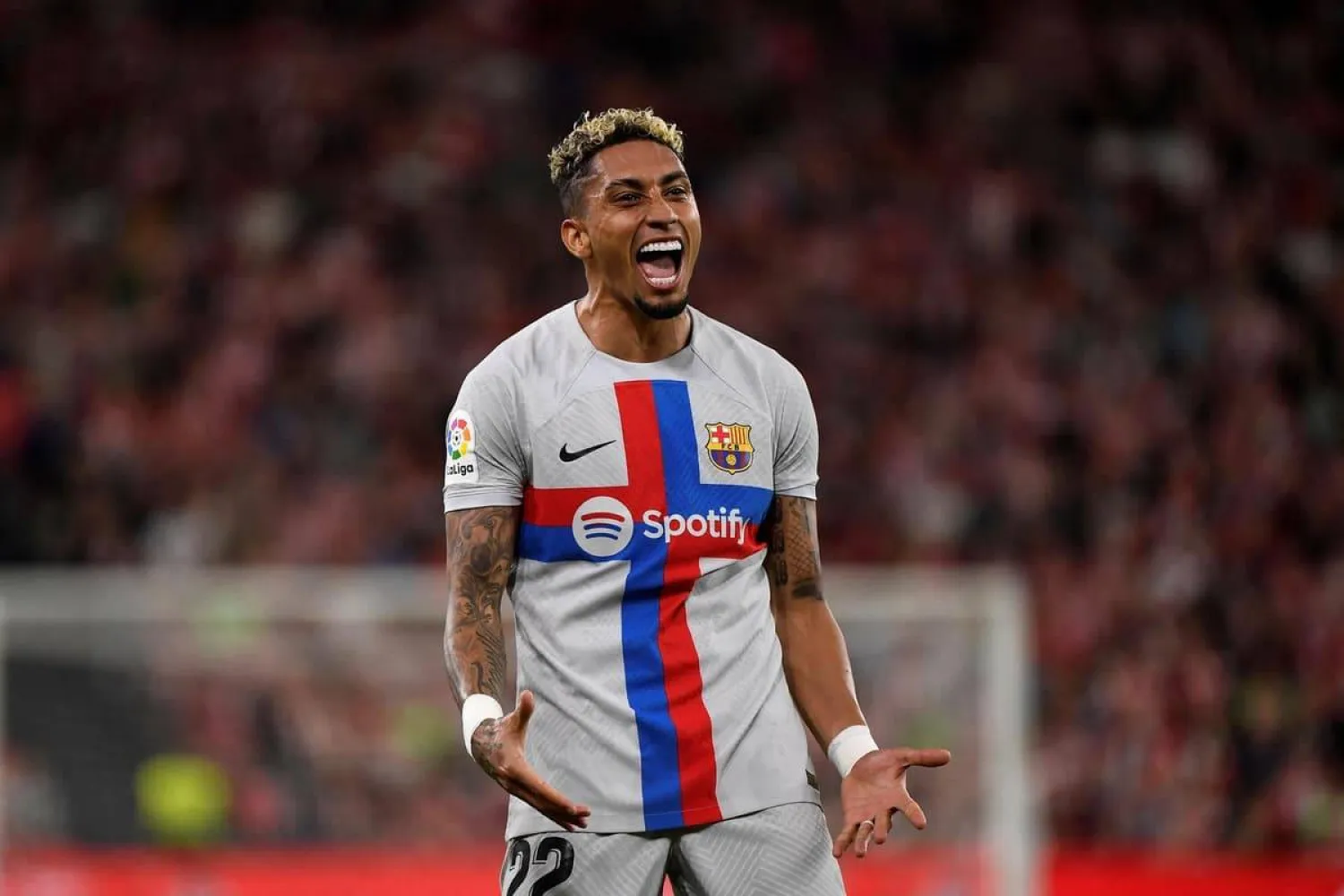 رافينيا (غيتي)