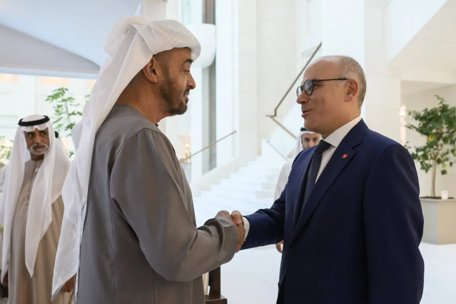 الشيخ محمد بن زايد آل نهيان ونبيل عمار خلال اللقاء (وام)