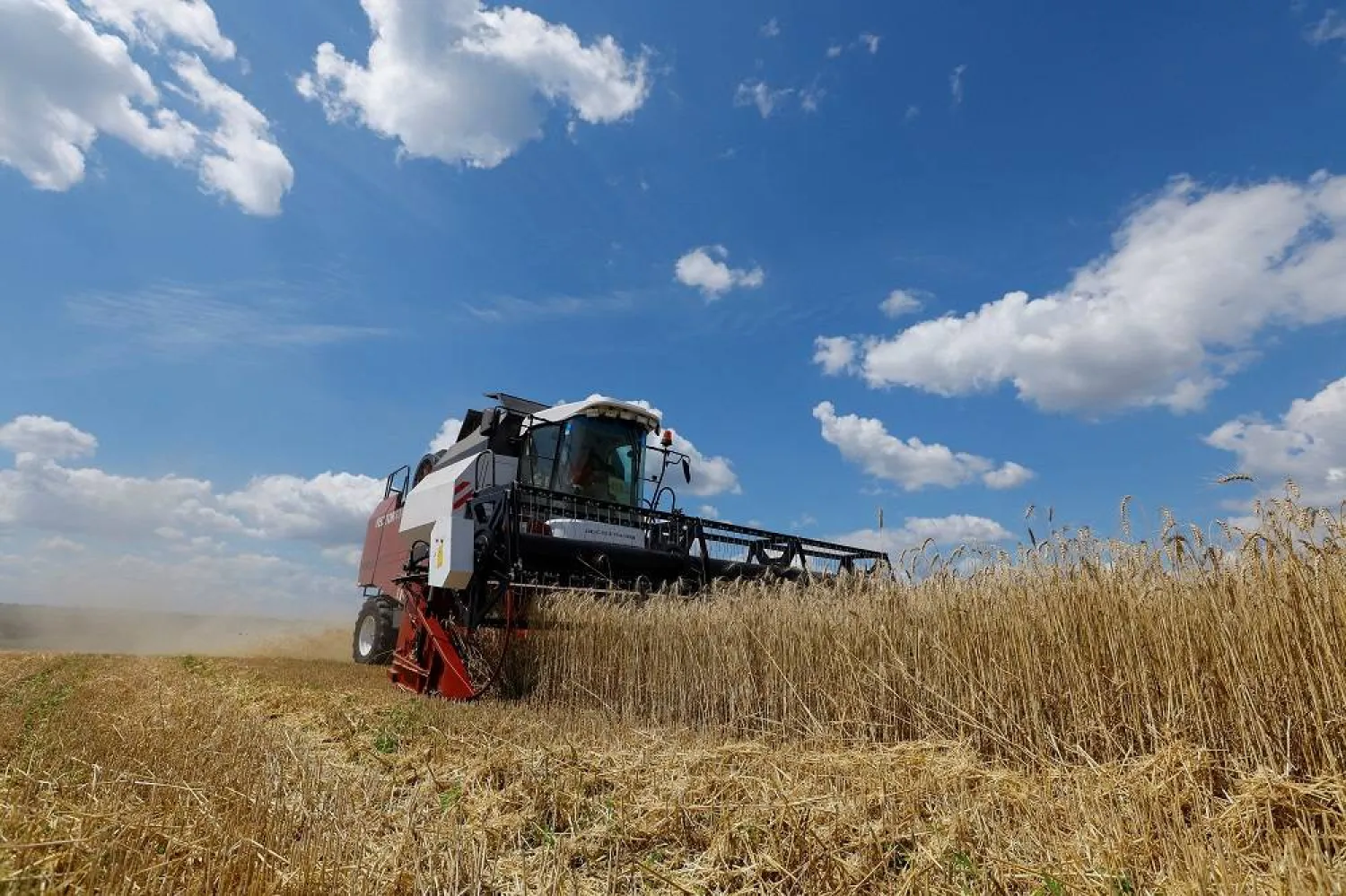  A combine harvests wheat in a field in the course of Russia-Ukraine conflict near Luhansk, Russian-controlled Ukraine, July 18, 2023. (Reuters)
