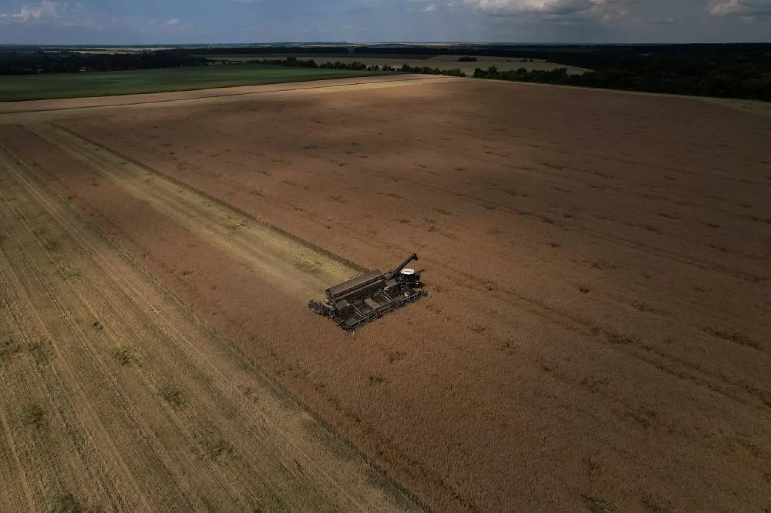 Agricultural worker Artem Nechai operates a combine during a rapeseed harvesting in a field near the village Kyshchentsi, amid Russia's attack on Ukraine, in Cherkasy region, Ukraine July 18, 2023. (Reuters)