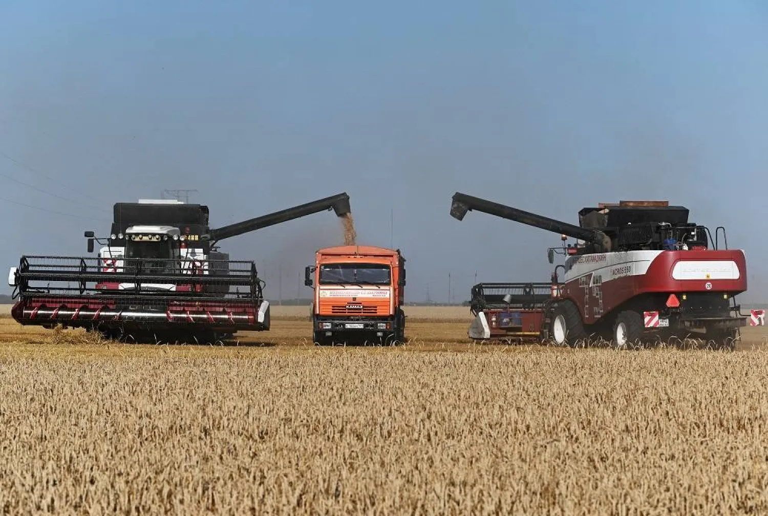 A combine loads a truck with wheat during harvesting in a field in the Rostov Region, Russia July 18, 2023. (Reuters)